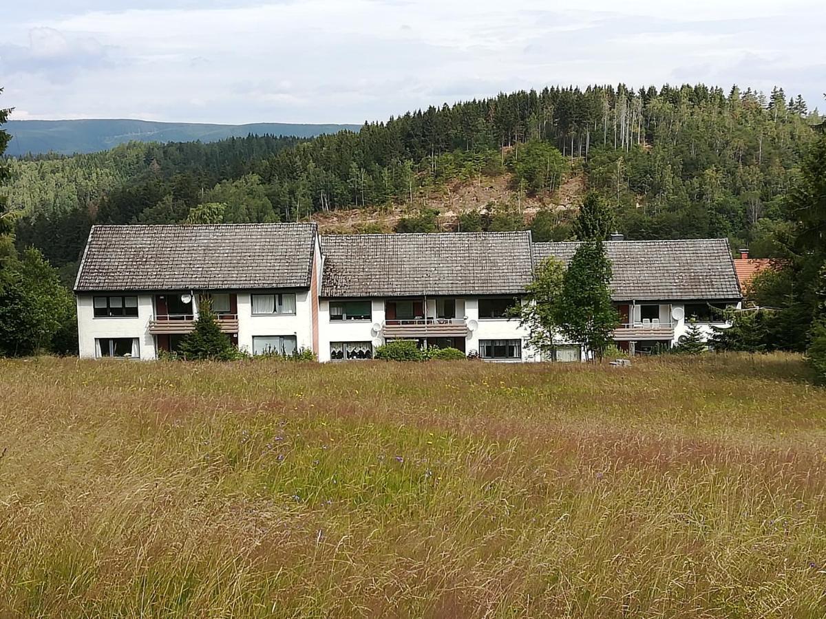Ferienwohnung Am Kunstberg 29 Altenau  Exterior foto